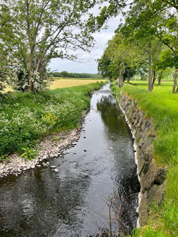 Luxury Croft Templepatrick Near Airport Rabbit And Hilton Hotel Exteriör bild