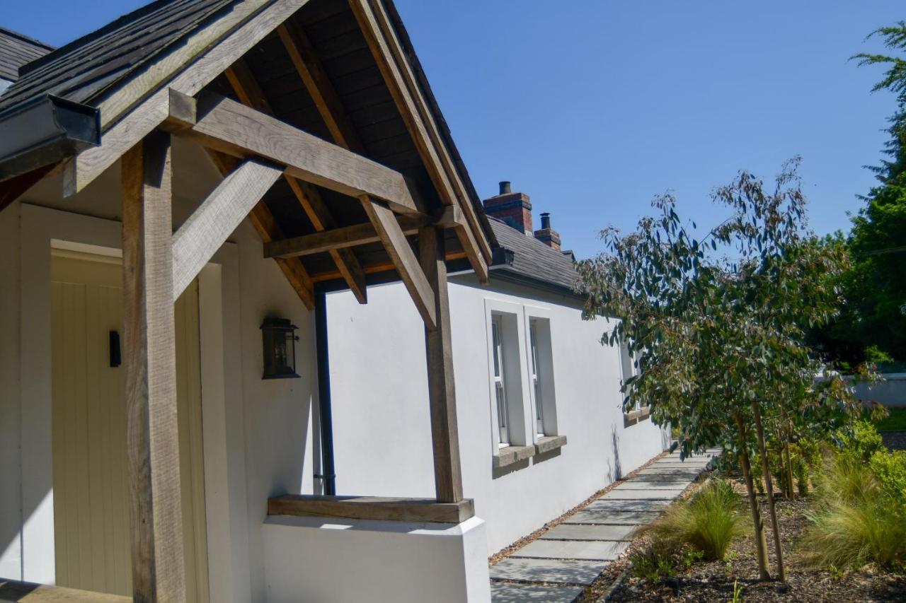 Luxury Croft Templepatrick Near Airport Rabbit And Hilton Hotel Exteriör bild